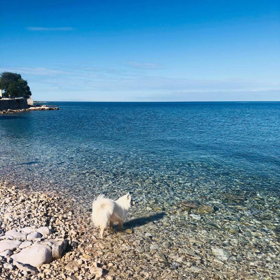Vila Bianca Umag Eksteriør billede